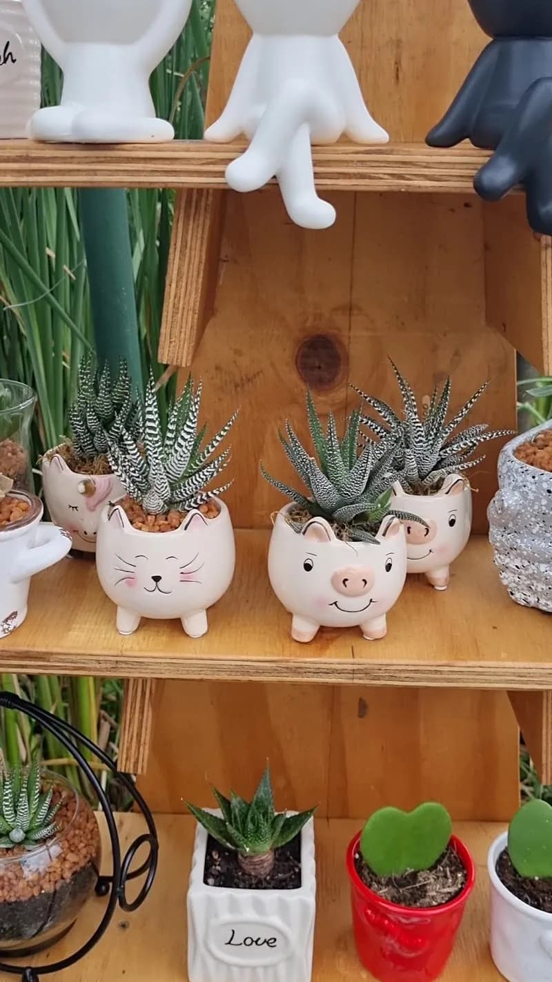 View of 4 Ways Farmers Market in Fourways, GP