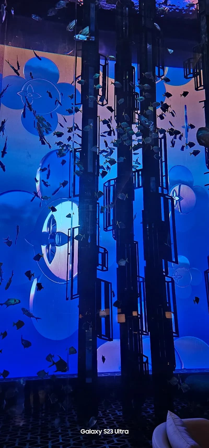 A R Exotics Marine Aquarium Sri Lanka aquarium in Mount Lavinia, WP