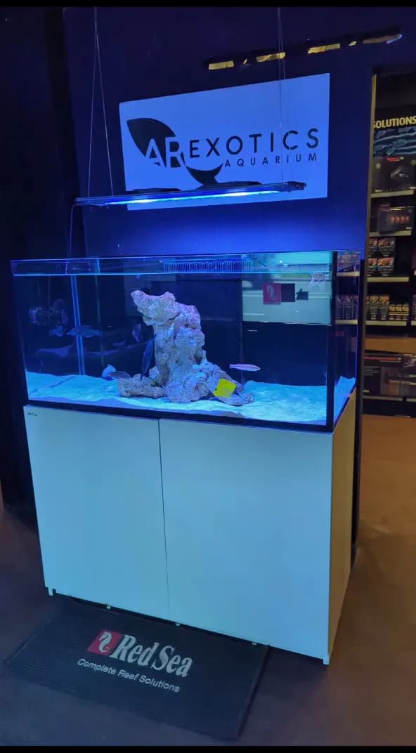 View of A R Exotics Marine Aquarium Sri Lanka in Mount Lavinia, WP
