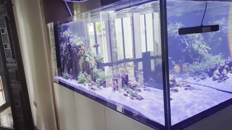 View of A R Exotics Marine Aquarium Sri Lanka in Mount Lavinia, WP