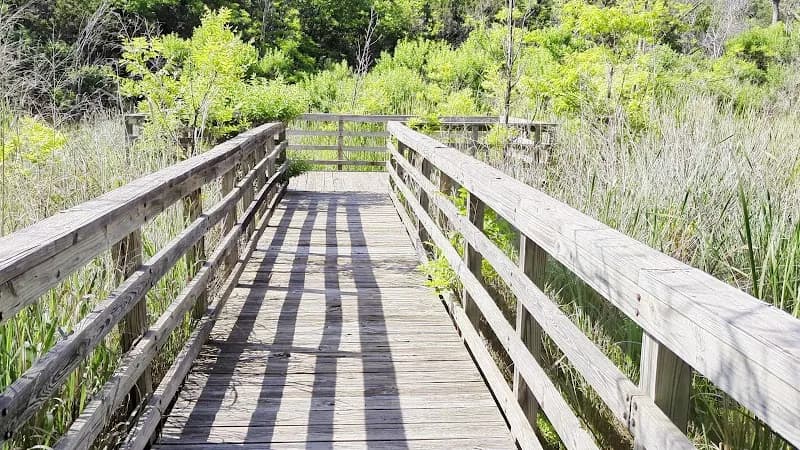 View of Abilene State Park in Tuscola, TX
