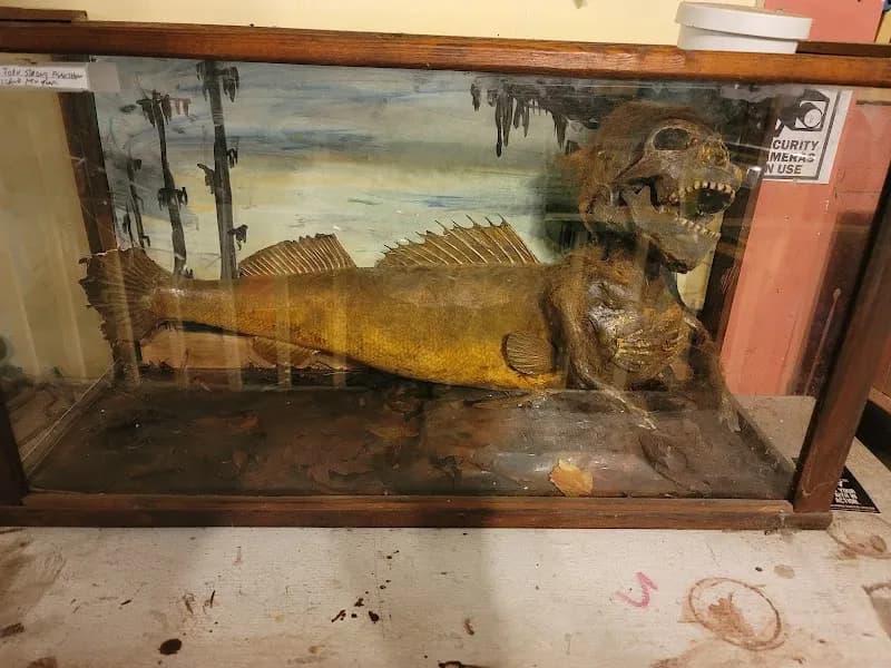 View of Abita Mystery House / UCM Museum in Covington, LA