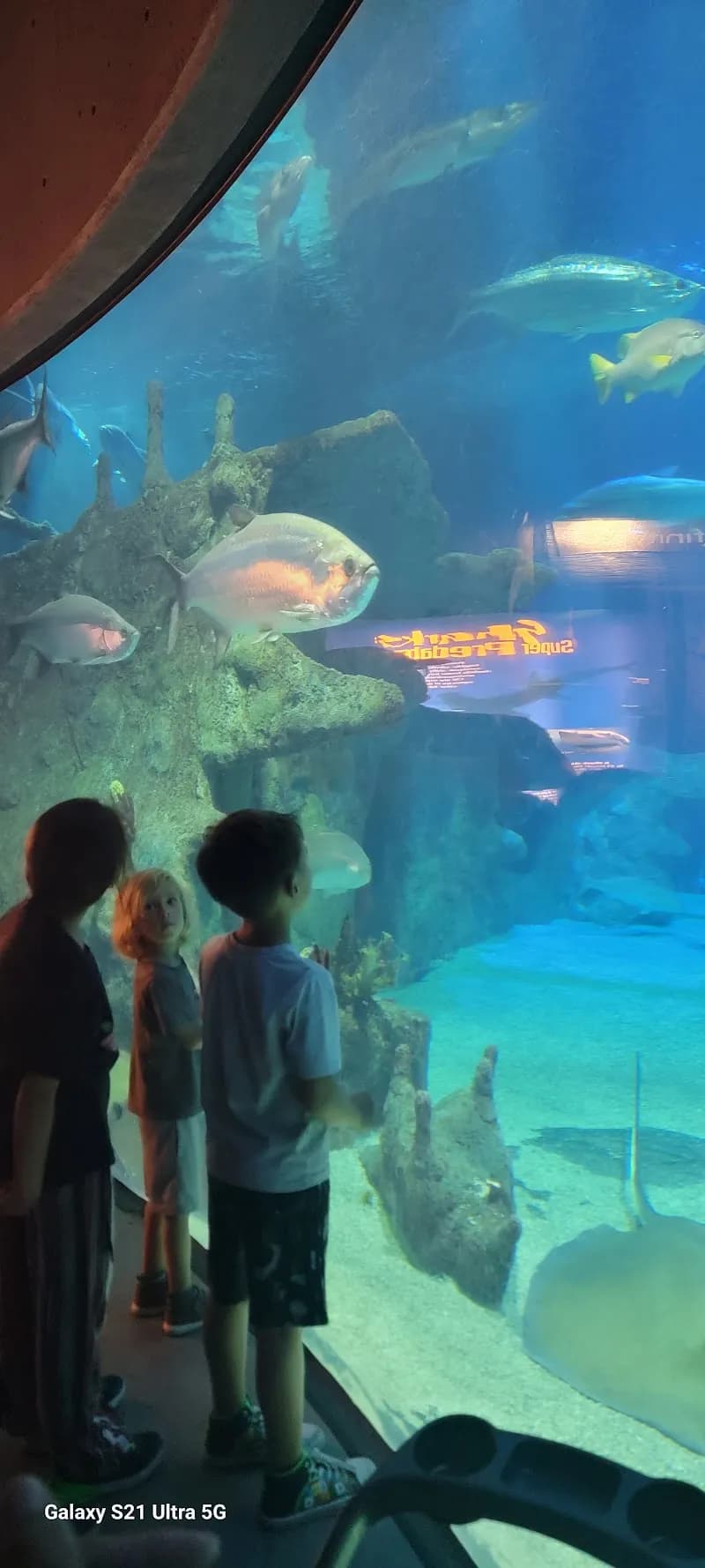 View of ABQ BioPark Aquarium in Old Town, NM