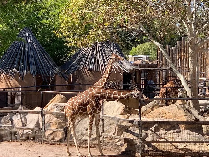 ABQ BioPark Zoo zoo in Albuquerque, NM