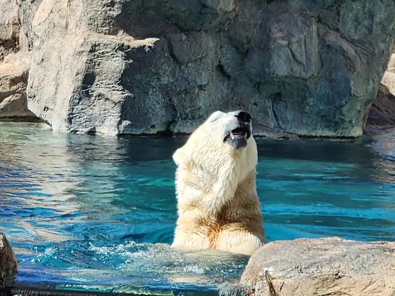 View of ABQ BioPark Zoo in Albuquerque, NM