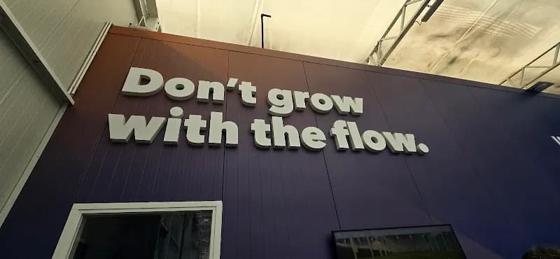 Abu Rawash Farm farm in Maadi, Cairo