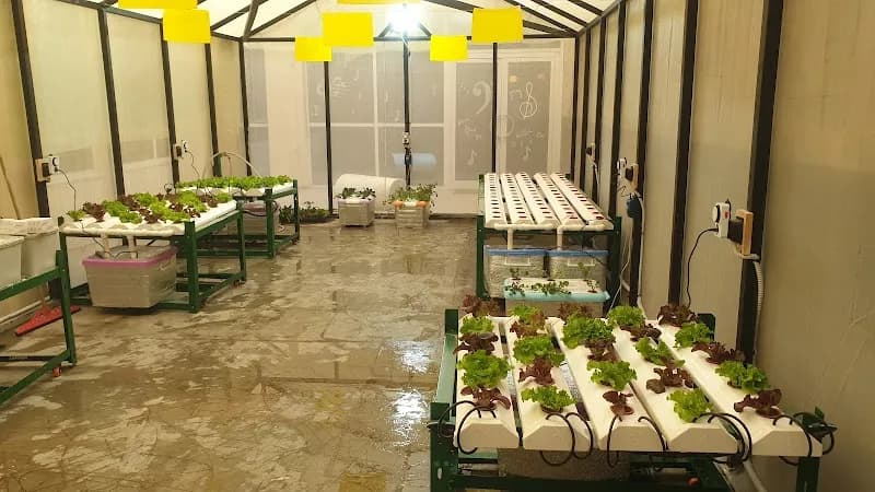 View of Abu Rawash Farm in Maadi, Cairo