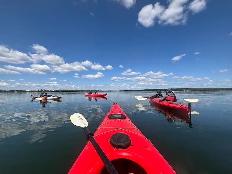 Acadia Sea Kayaking Adventures tour agency in Bar Harbor, ME