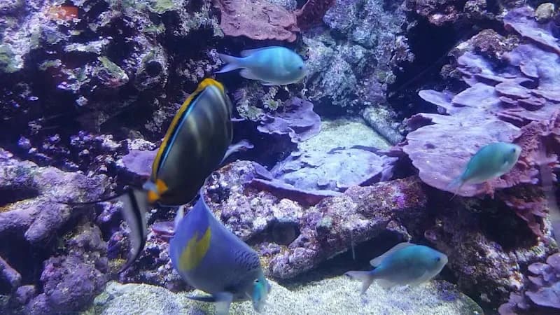 View of Acquario Civico e Stazione Idrobiologica di Milano in Milan, LM