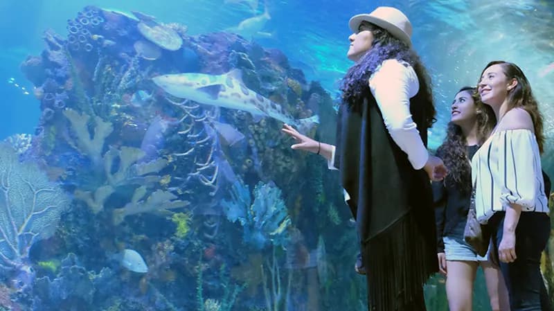 Acuario Inbursa aquarium in Mexico City, CDMX