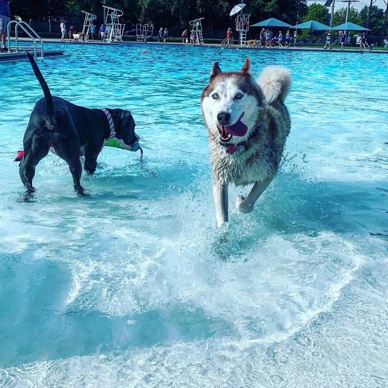 View of Ad Astra Pool in Lenexa, KS