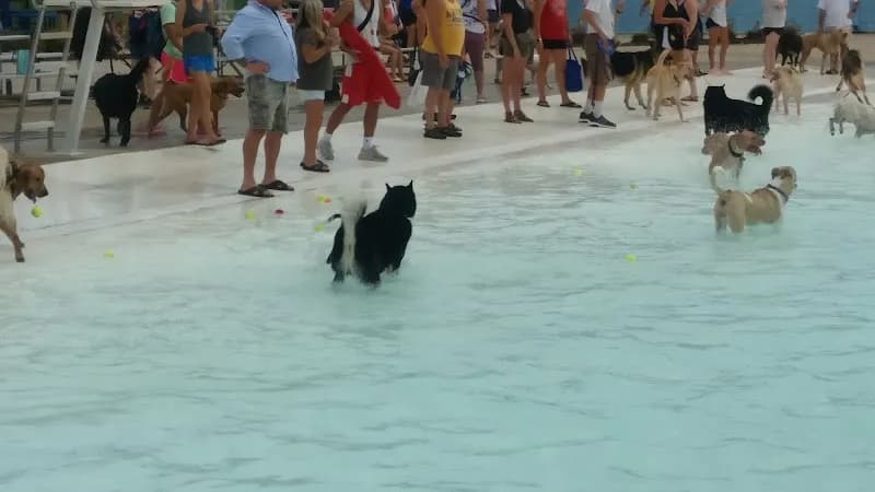 View of Ad Astra Pool in Lenexa, KS