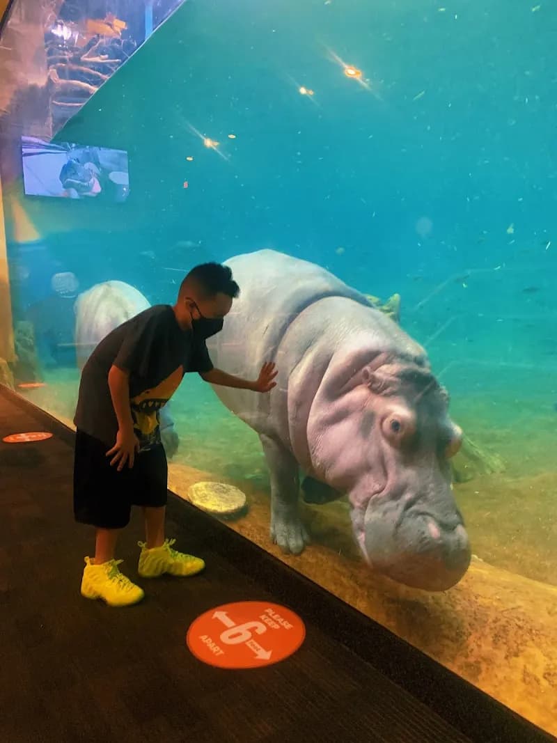 View of Adventure Aquarium in Princeton, NJ