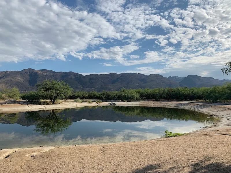 View of Agua Caliente Regional Park in Tanque Verde, AZ