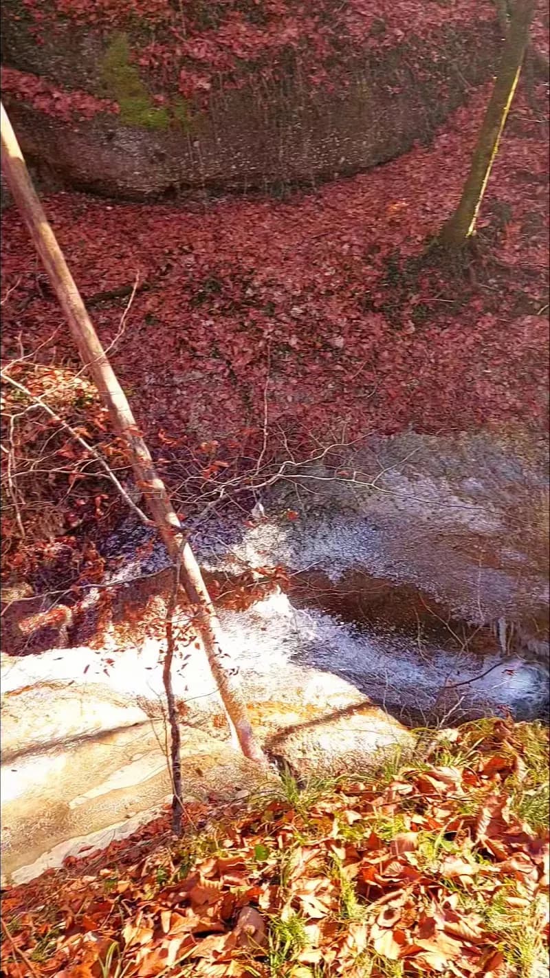 View of Aignerpark in Salzburg, SBG