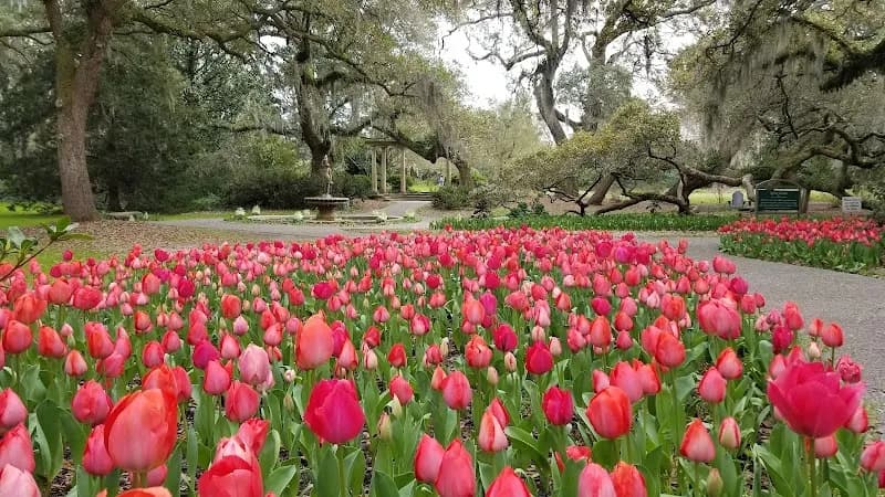 View of Airlie Gardens in Wilmington, NC