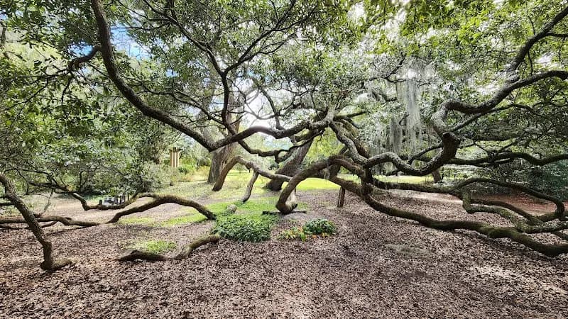 View of Airlie Gardens in Wilmington, NC