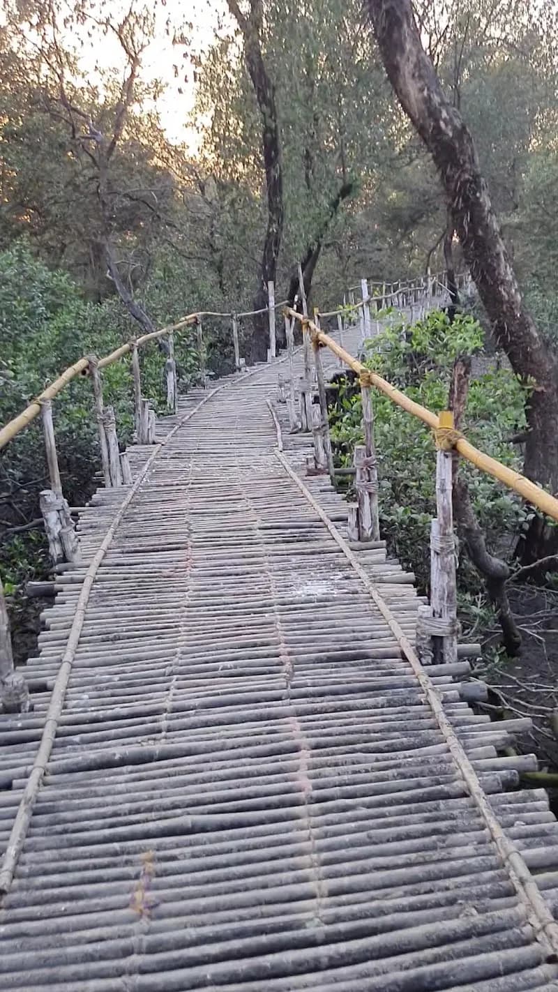 View of Airoli Lake Walk in Airoli, MH