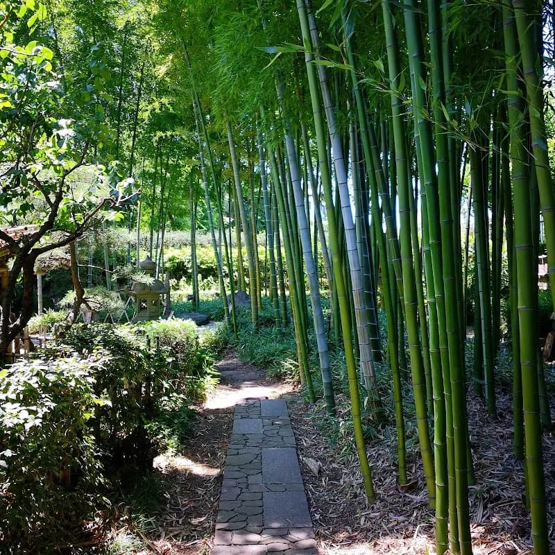 Akatsuka Botanical Garden botanical garden in Tachikawa, Tokyo