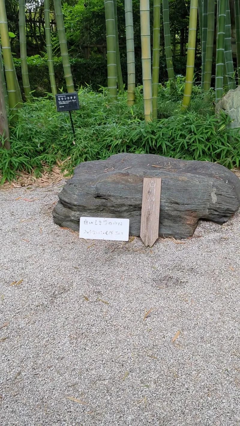 View of Akatsuka Botanical Garden in Tachikawa, Tokyo