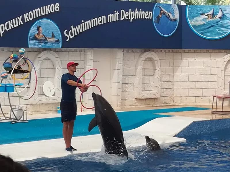 Aksu Dolphinarium aquarium in Konyaaltı, Antalya
