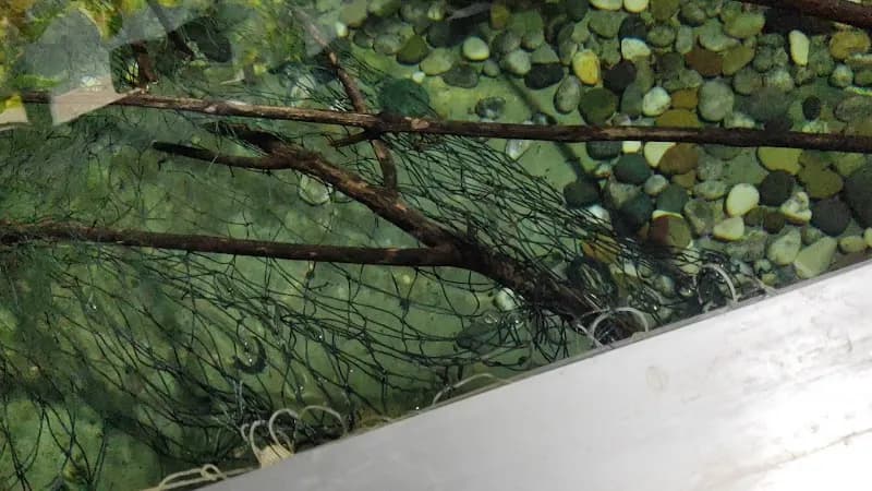 View of Akuarium Tunku Abdul Rahman (AkuaTAR) in Penang, PG