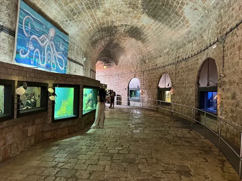 View of AKVARIJ Dubrovnik Aquarium in Dubrovnik, DN