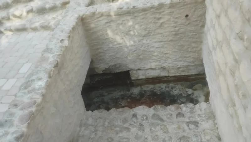 View of Al Ain Oasis in Al Ain, Abu Dhabi