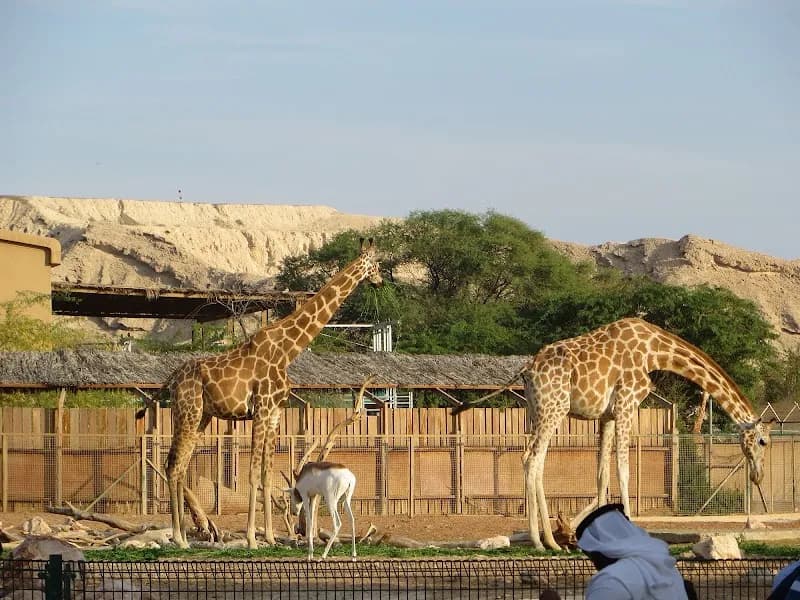 Al Ain Zoo zoo in Al Ain, Abu Dhabi