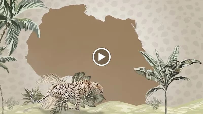 View of Al Ain Zoo in Al Ain, Abu Dhabi