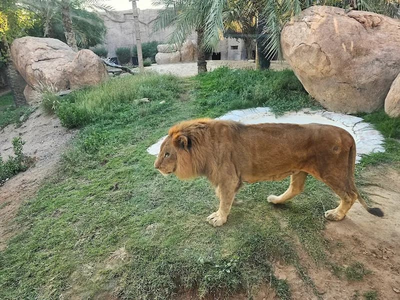 View of Al Ain Zoo in Al Ain, Abu Dhabi