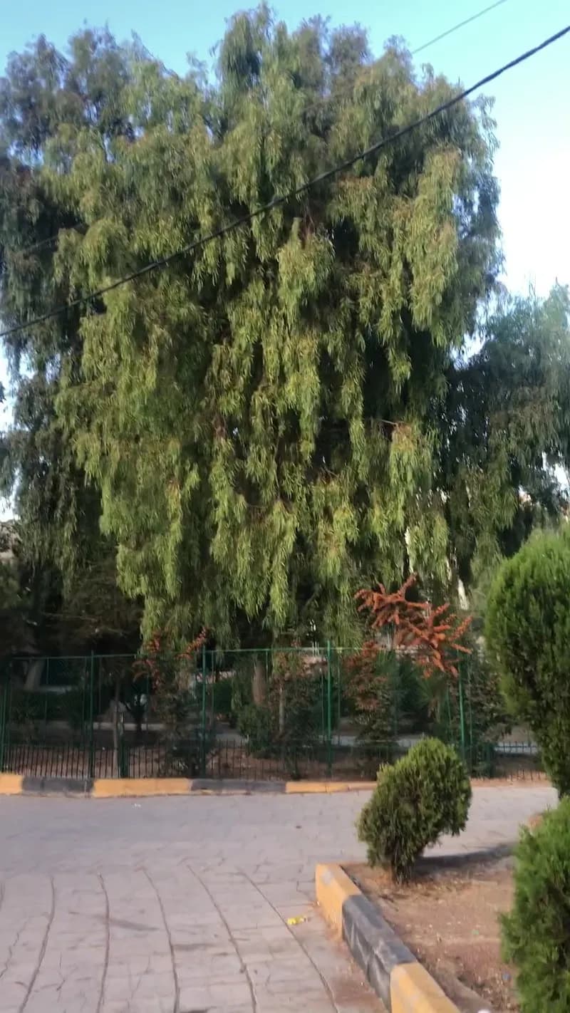 View of Al-Hashimiyah Park in Zarka, Amman