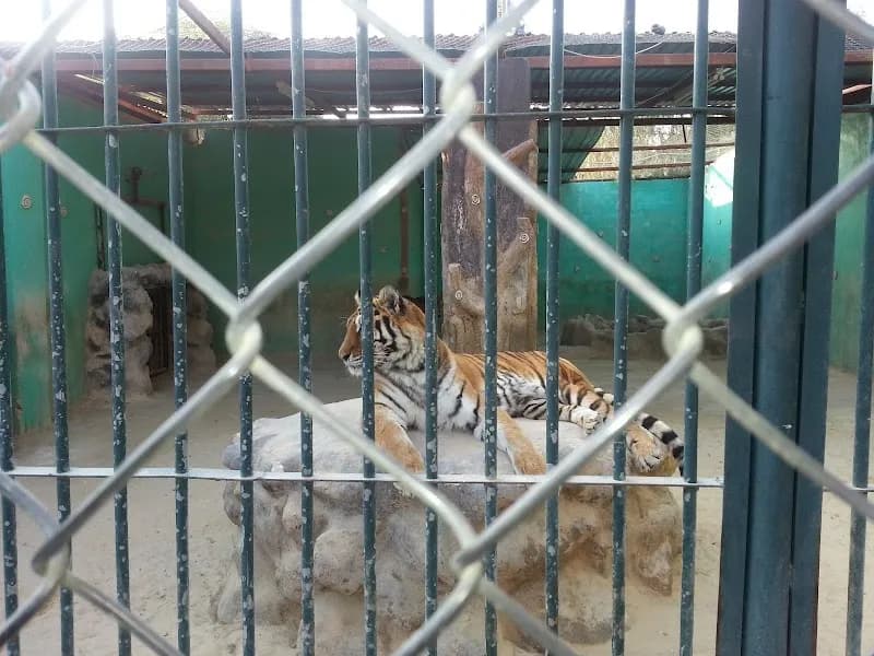 Al-Manara Zoo & Animal Park zoo in Amman, AM