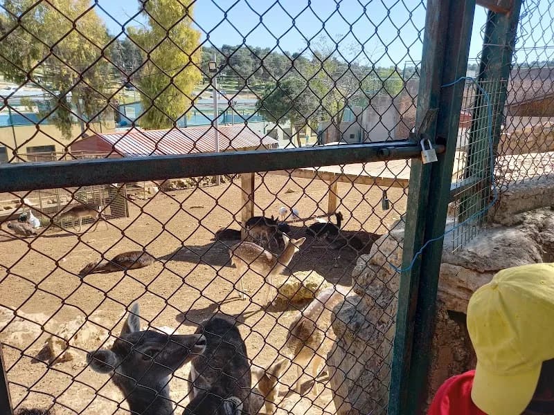 View of Al-Manara Zoo & Animal Park in Amman, AM