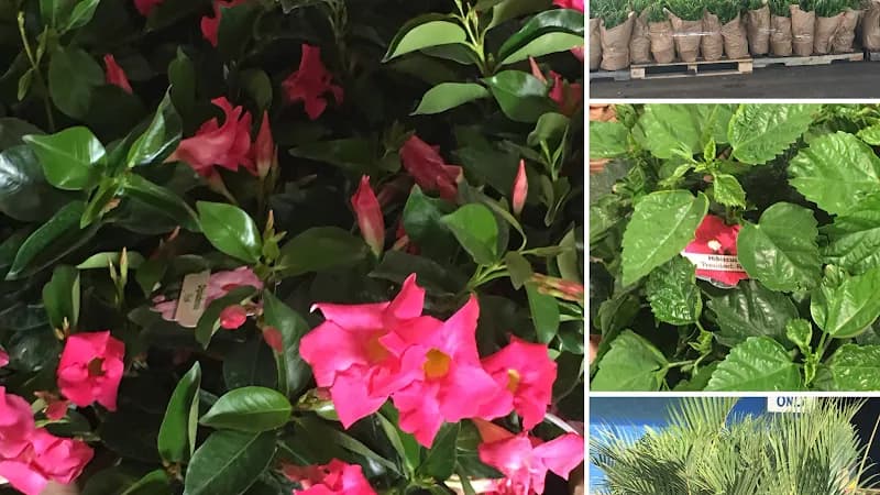 View of Alabama Farmers Market in Birmingham, AL