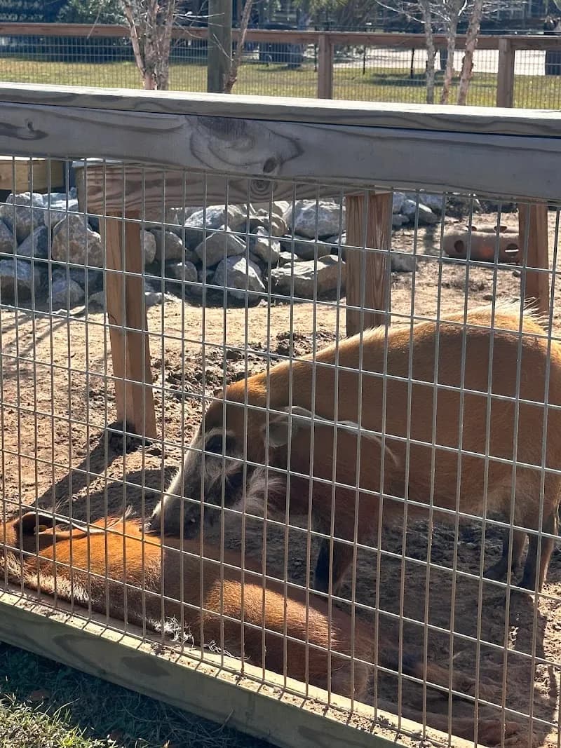 View of Alabama Gulf Coast Zoo in Orange Beach, AL