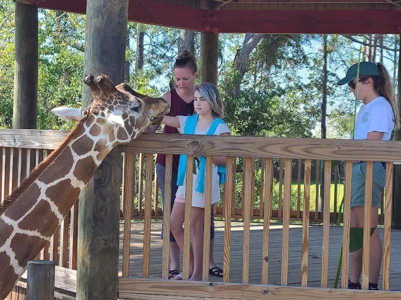 View of Alabama Gulf Coast Zoo in Orange Beach, AL