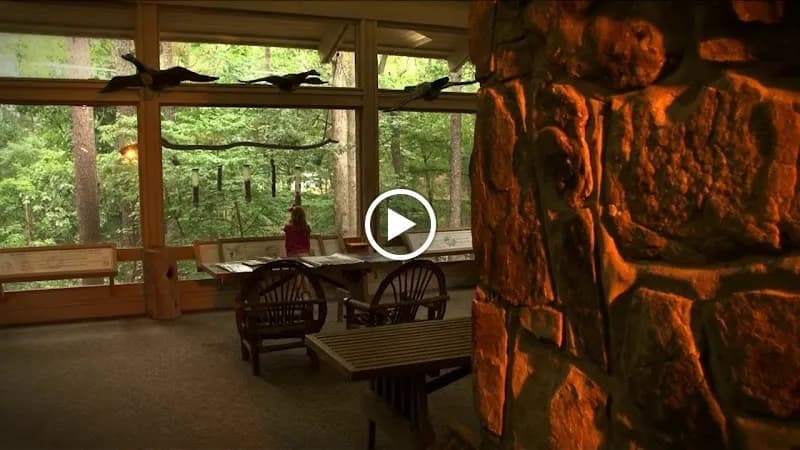 View of Alabama Wildlife Center in Pelham, AL