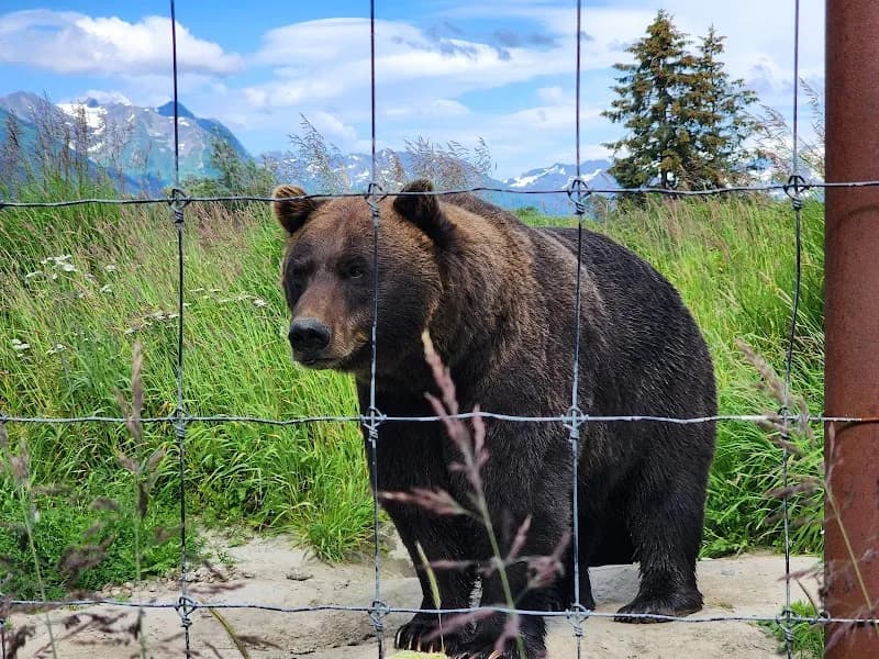 Alaska Wildlife Conservation Center wildlife refuge in Juneau, AK