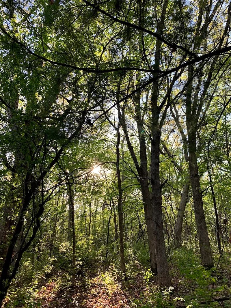 View of Alimagnet Park in Burnsville, MN