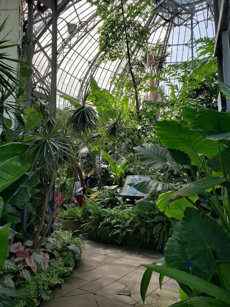View of Allan Gardens in Toronto, ON