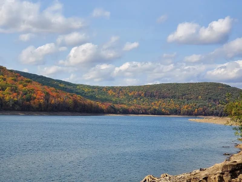 View of Allegheny National Forest in Pittsburgh, PA