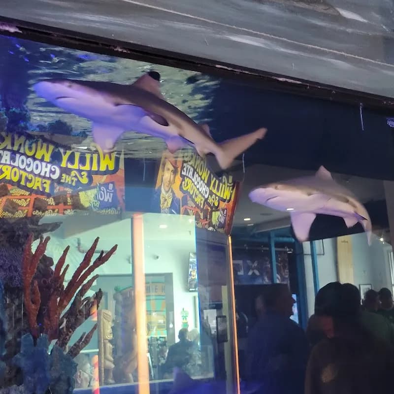 View of AlleyOops Uptown in Ocean City, MD