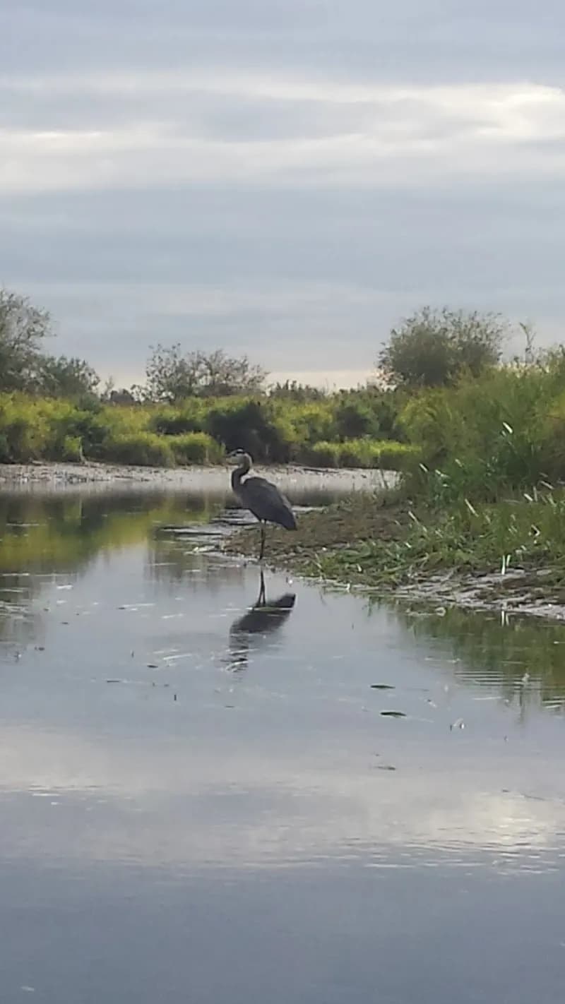 View of Alouette Park in Maple Ridge, BC