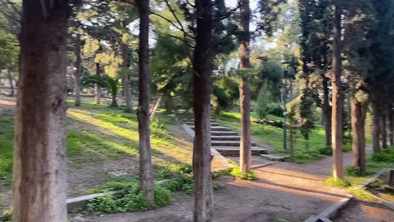 View of Alsos of Nea Smyrni in Nea Smyrni, AT