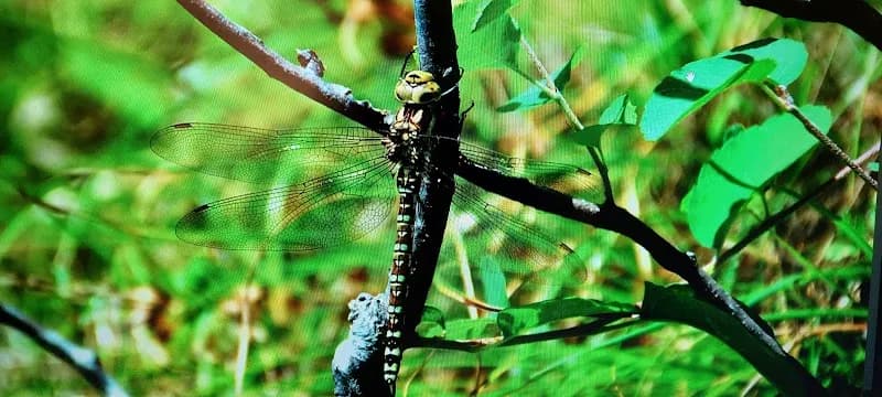 Am Stadtpark route in Erding, BY