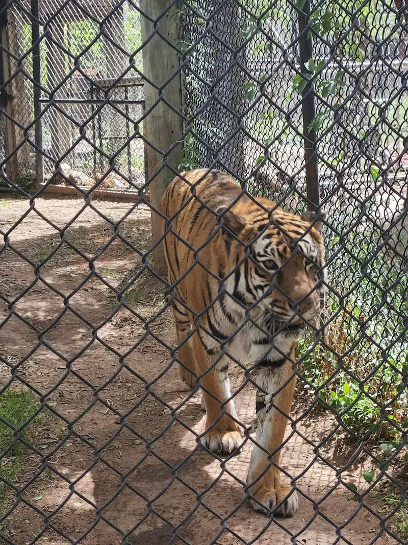 View of Amarillo Zoo in Amarillo, TX