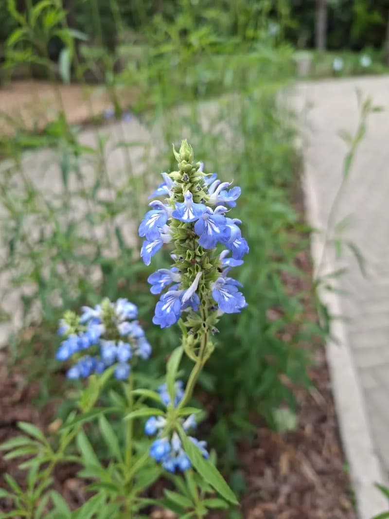 View of Ambiental Lanús, Centro de Educación Ambiental Park in Lanús, BA