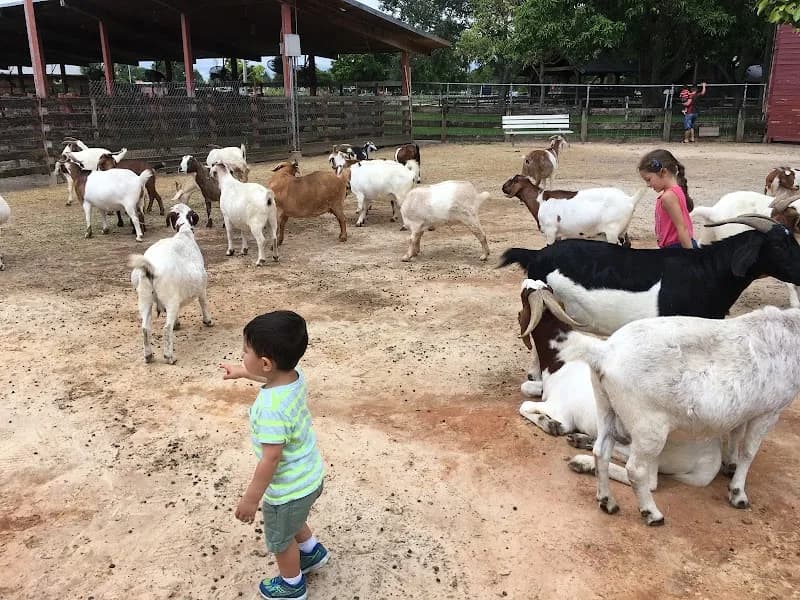 View of Amelia Earhart Park in Hialeah, FL