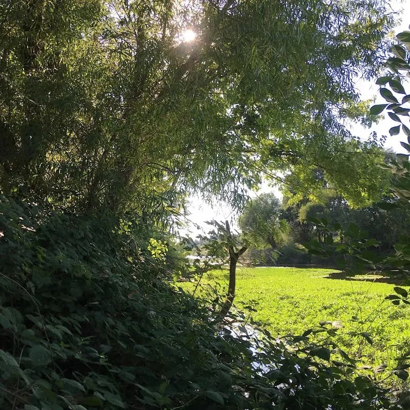 View of American River Parkway Foundation in Carmichael, CA